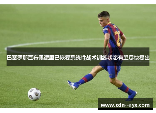 巴塞罗那宣布佩德里已恢复系统性战术训练状态有望尽快复出