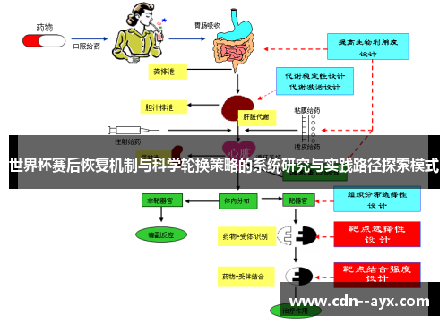 世界杯赛后恢复机制与科学轮换策略的系统研究与实践路径探索模式