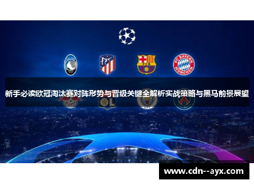 新手必读欧冠淘汰赛对阵形势与晋级关键全解析实战策略与黑马前景展望