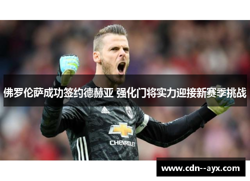 佛罗伦萨成功签约德赫亚 强化门将实力迎接新赛季挑战 佛罗伦萨成功签约德赫亚 强化门将实力迎接新赛季挑战